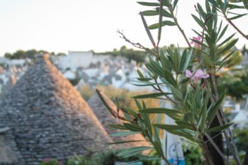 Puglia day 1 / Alberobello