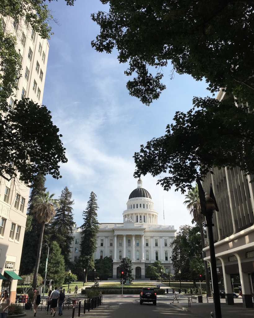 #californiaonyourown - California road trip - California cosa vedere - sacramento - cosa vedere a sacramento - Tatiana Biggi - travel blogger