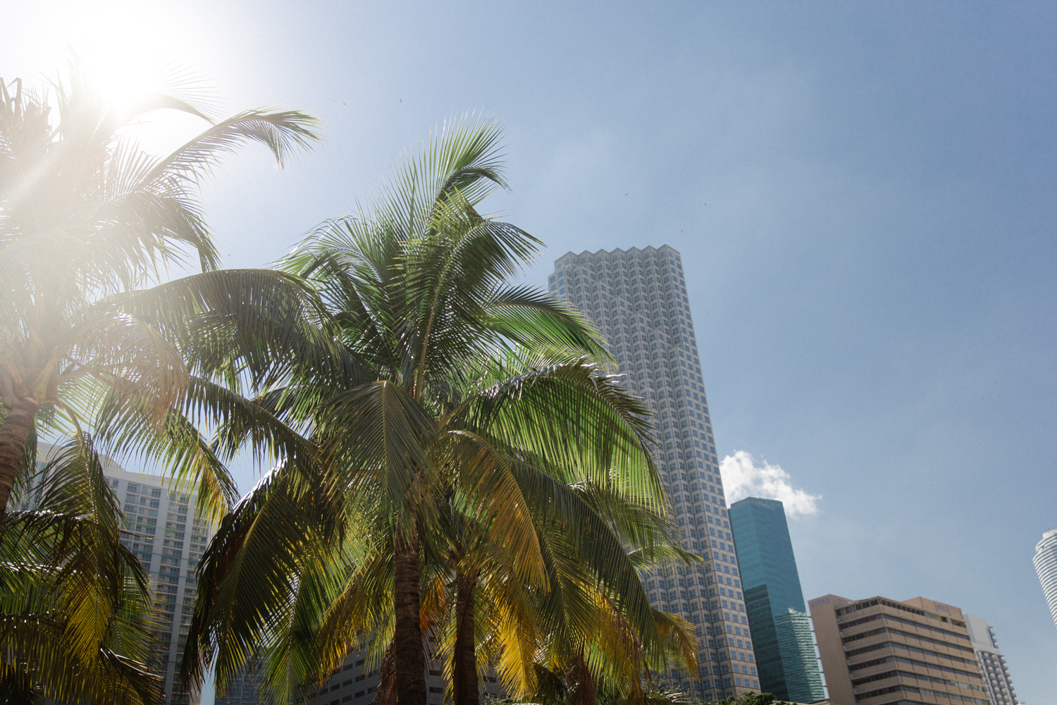 Downtown MIami in November - Tatiana Biggi blogger Tati loves pearls 