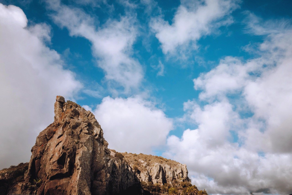 La natura selvaggia della Gomera