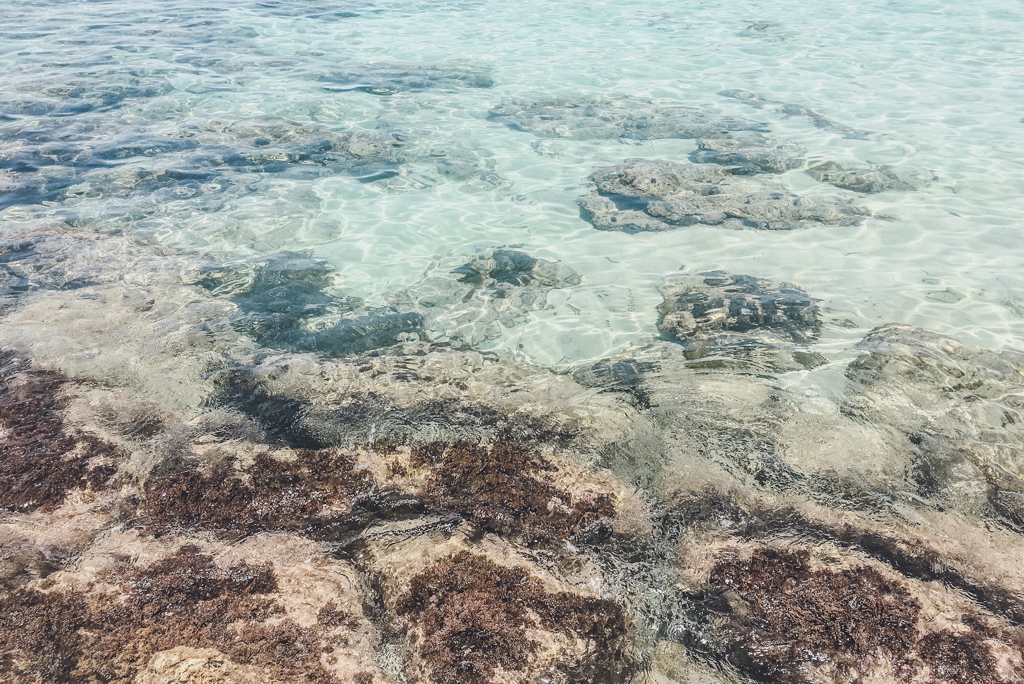 Cala comte, il mare a Ibiza