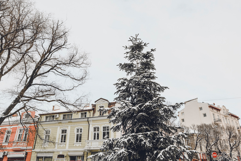 Sofia cosa fare e vedere