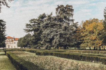 Palazzo Arese Borromeo: la gita fuori porta in Lombardia