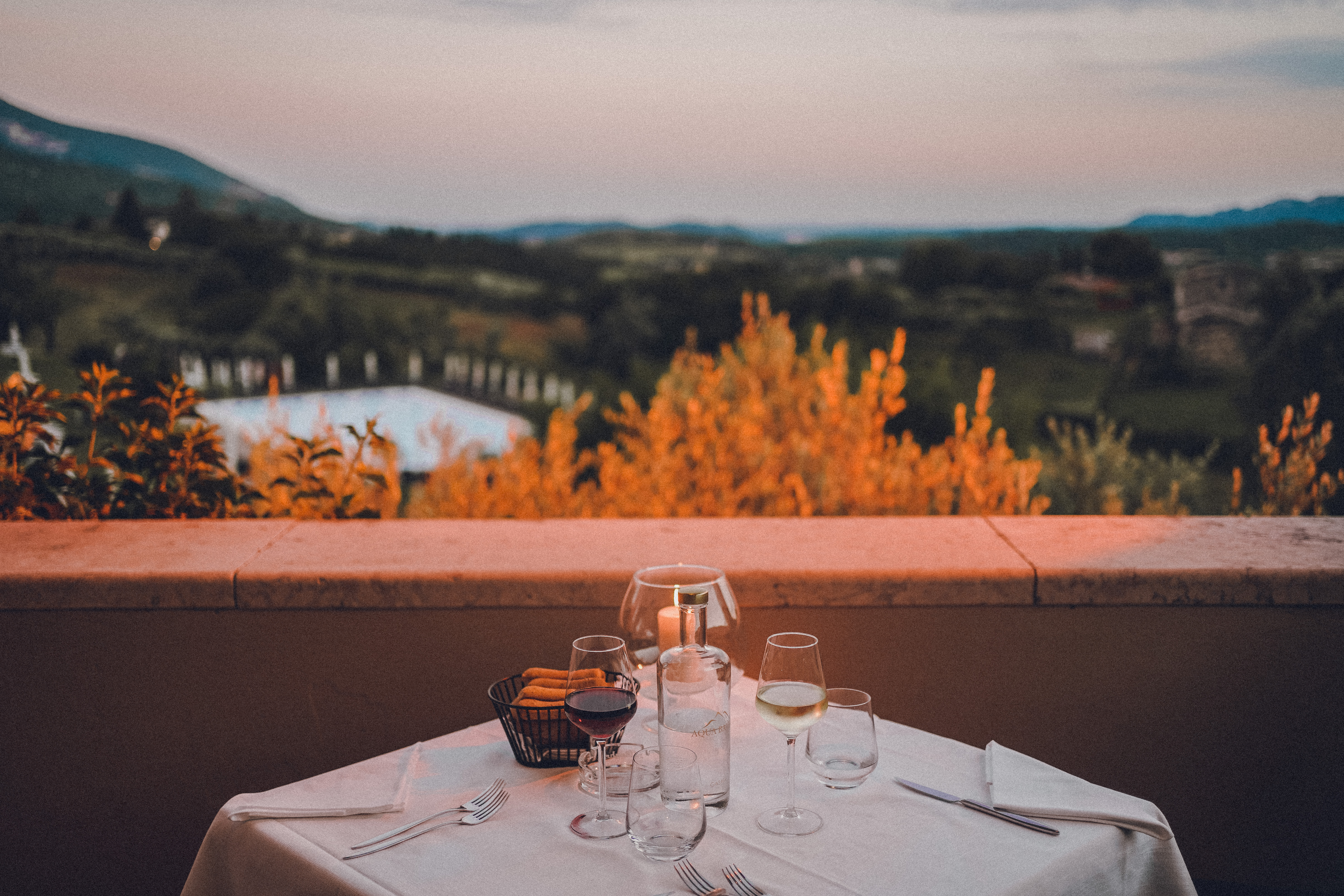 Cena a villa cariola