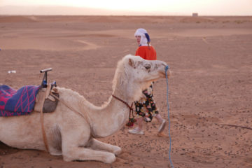 MAROCCO CAMPO TENDATO | DORMIRE UNA NOTTE NEL DESERTO